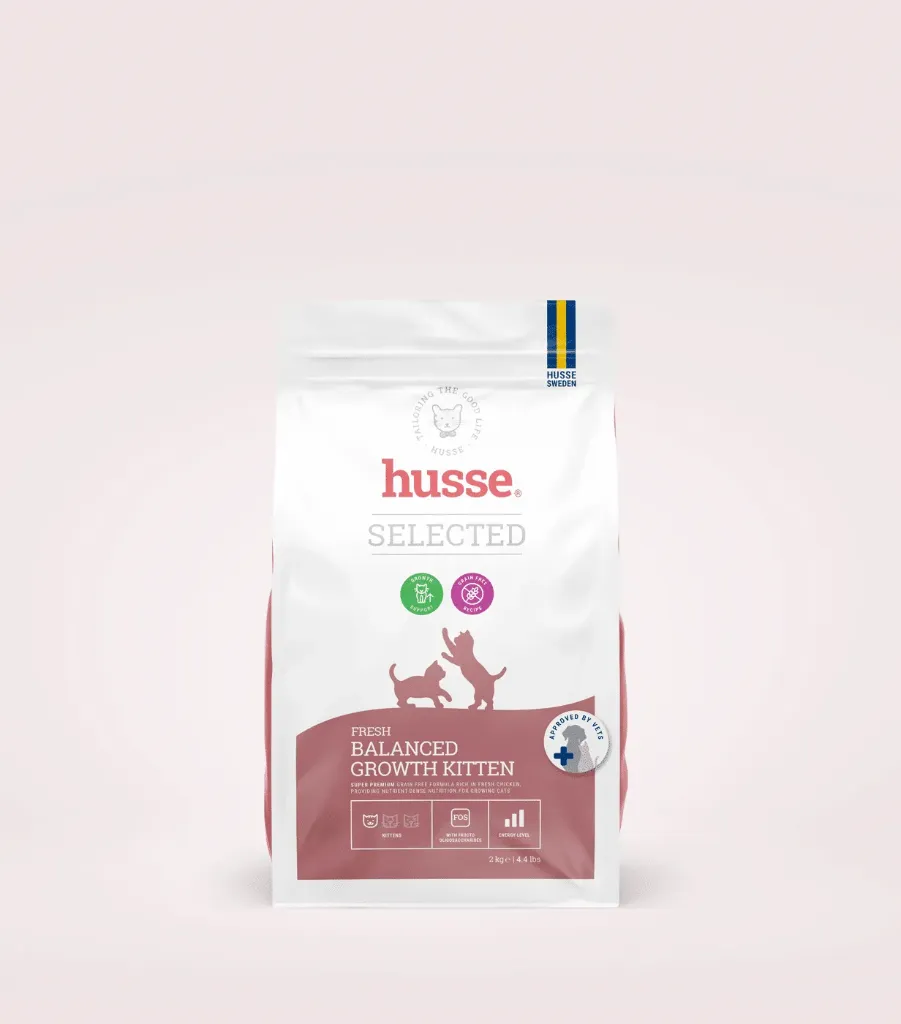 Chat-Kitten-Chaton-3kg